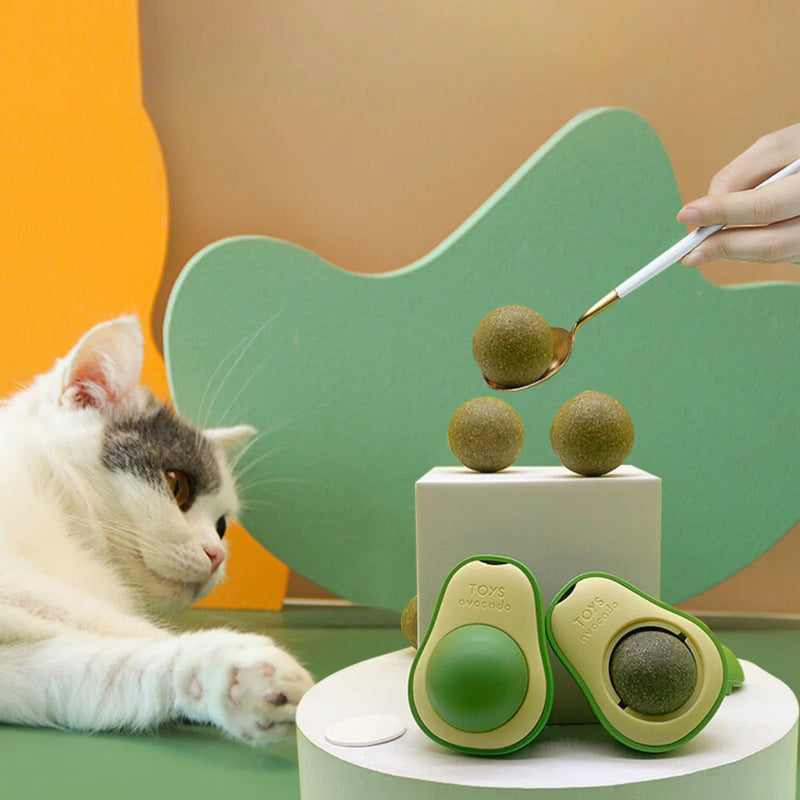 Abacate Catnip Para Gato com Erva Natural Relaxante