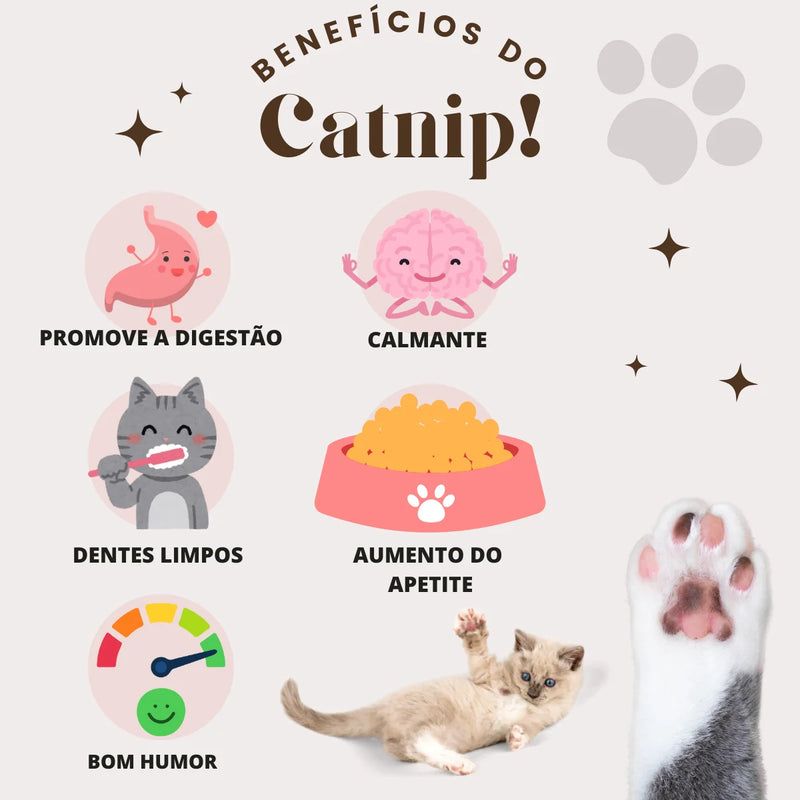 Abacate Catnip Para Gato com Erva Natural Relaxante
