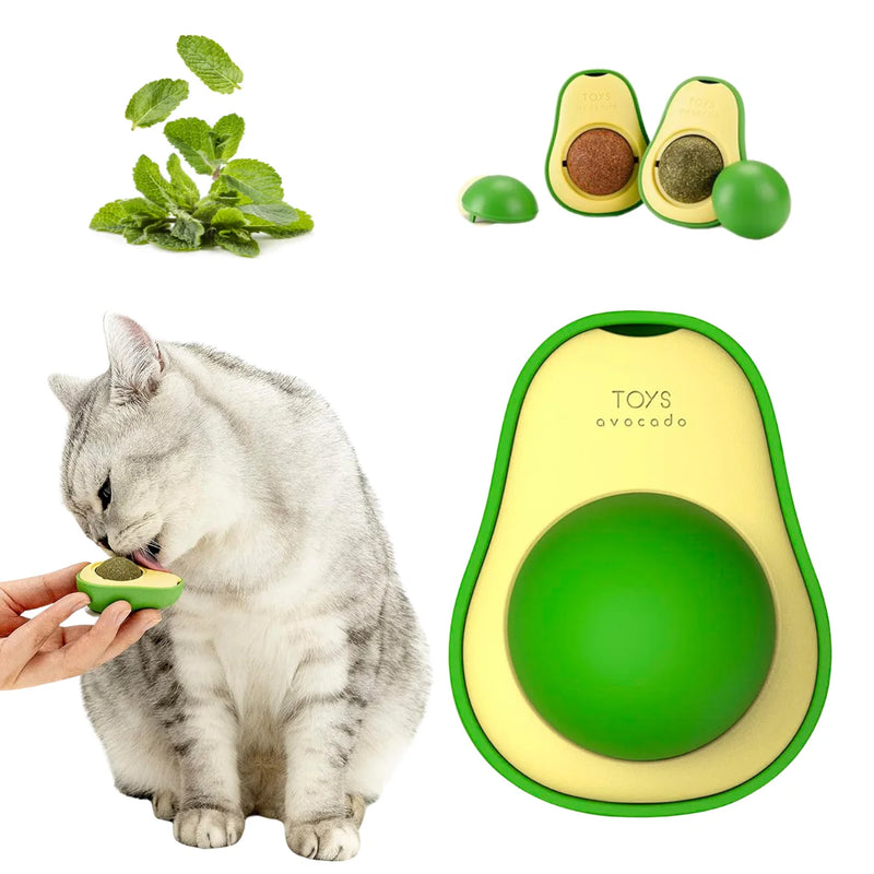 Abacate Catnip Para Gato com Erva Natural Relaxante