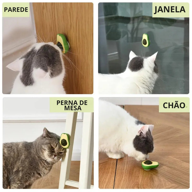 Abacate Catnip Para Gato com Erva Natural Relaxante