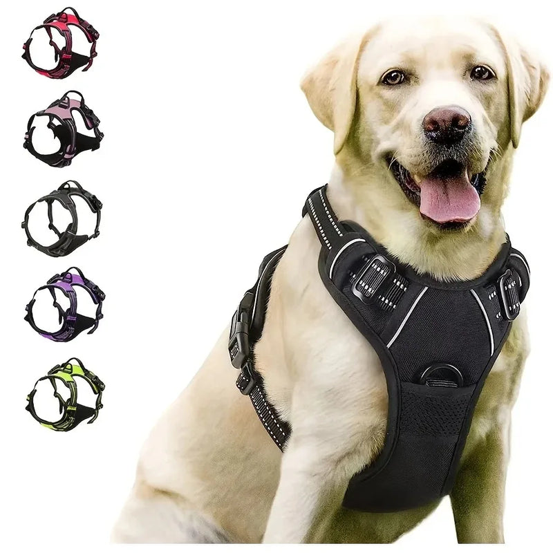 Coleira para cães