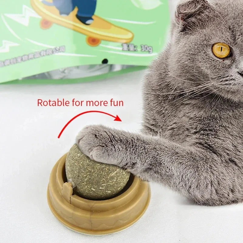 Bola de Erva de Gato