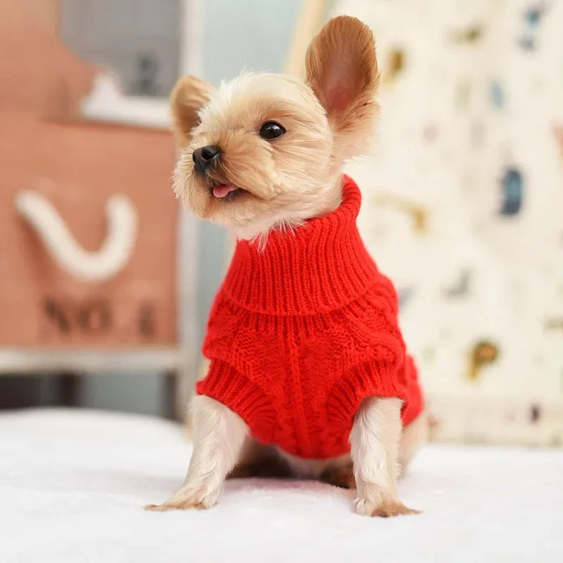 Roupas de inverno de malha