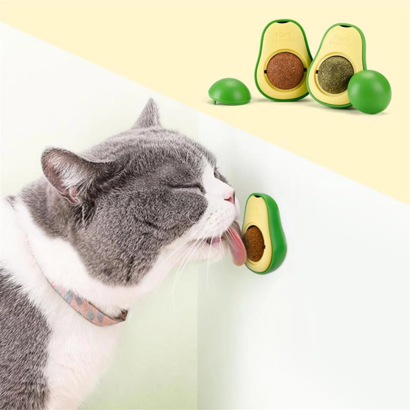 Abacate Catnip Para Gato com Erva Natural Relaxante