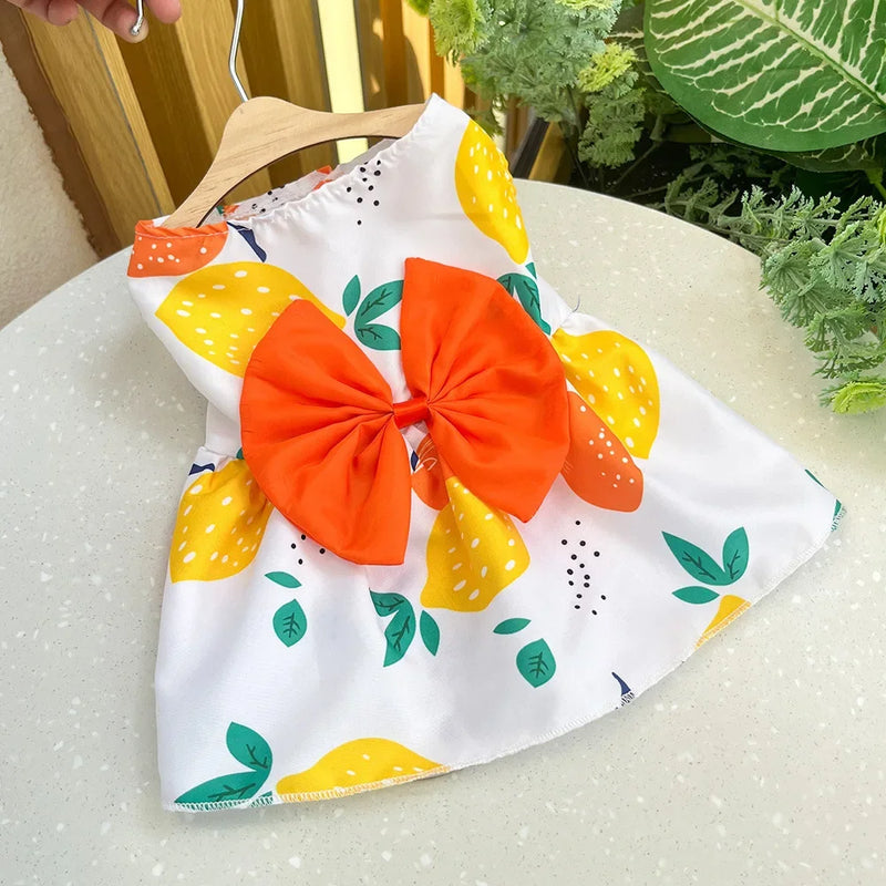 Vestido para cachorros e gatos Princesa