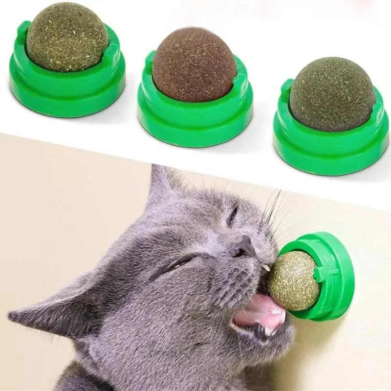 Bola de Erva de Gato