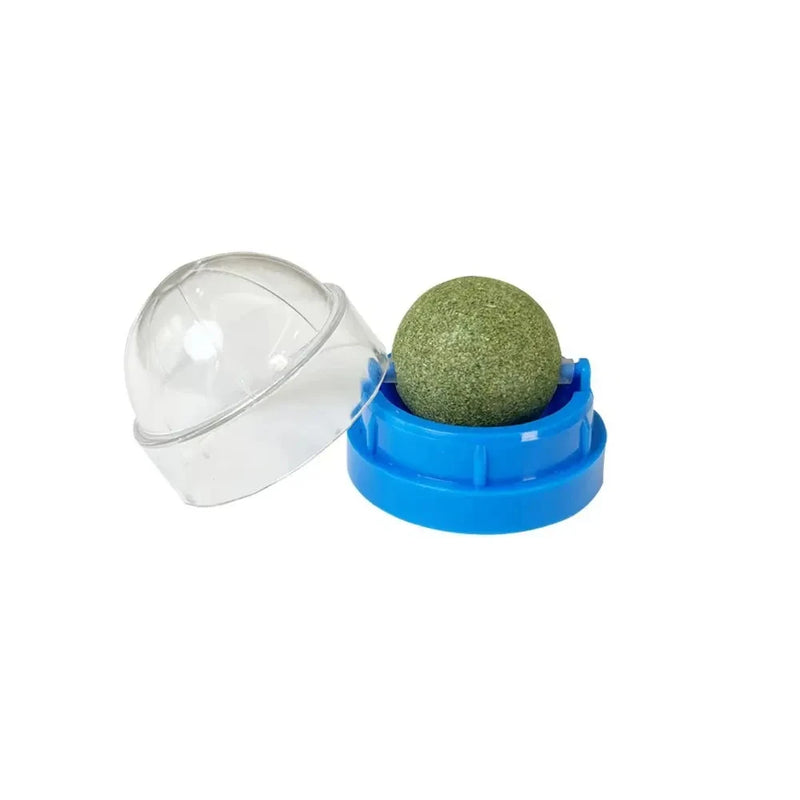 Bola de Erva de Gato