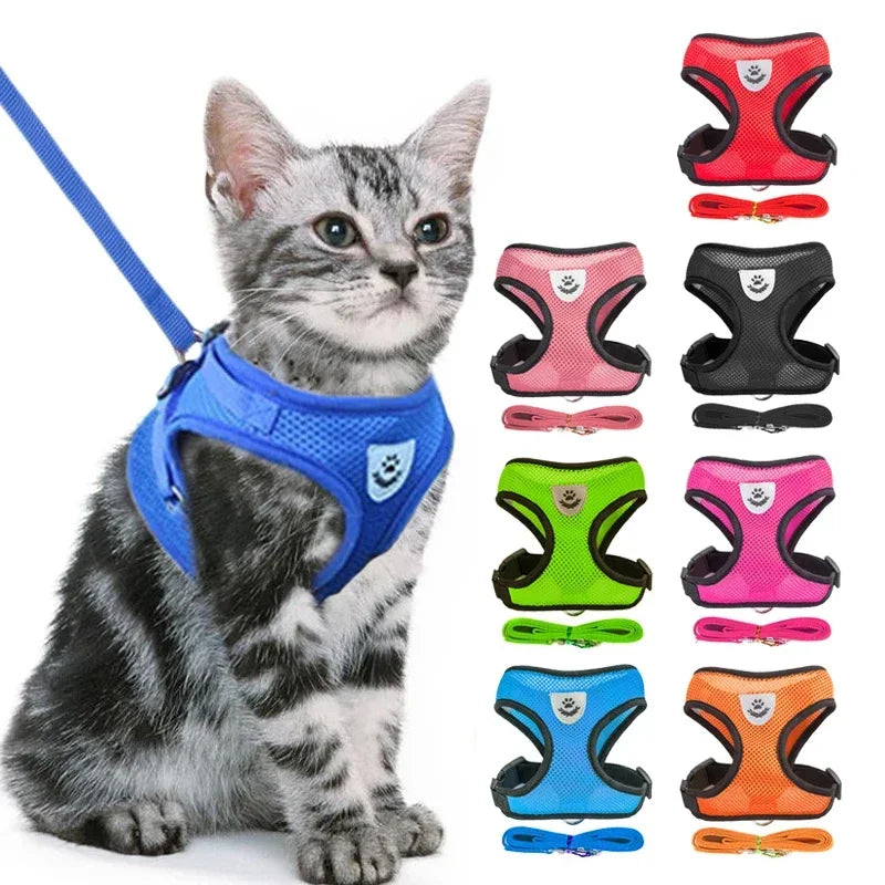 Arnês para gatos