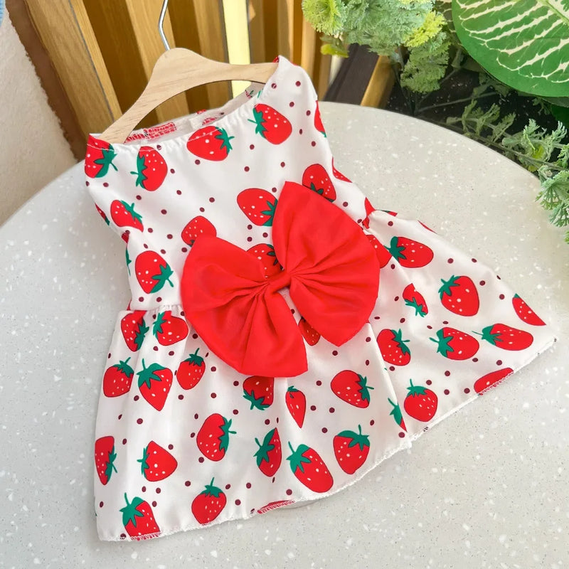 Vestido para cachorros e gatos Princesa